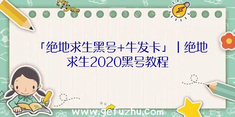 「绝地求生黑号+牛发卡」|绝地求生2020黑号教程